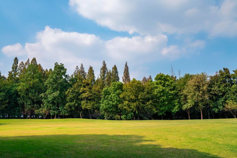 Gliwice PODLESIE – jak Park Kultury i Wypoczynku wpływa na atrakcyjność mieszkań w Gliwicach? | ACATOM